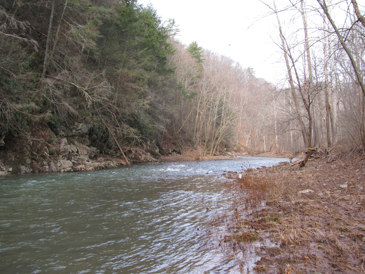 Field photo showing stream conditions at site SIDE-402-H-2011-1