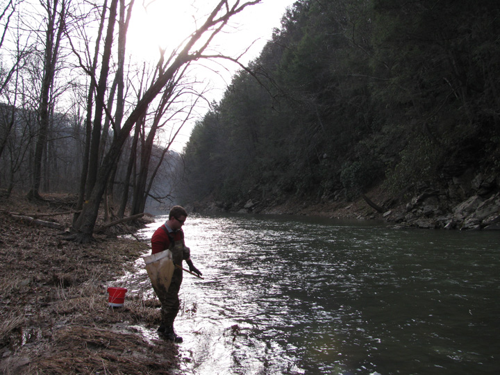 Field photo showing stream conditions at site SIDE-402-H-2011-2