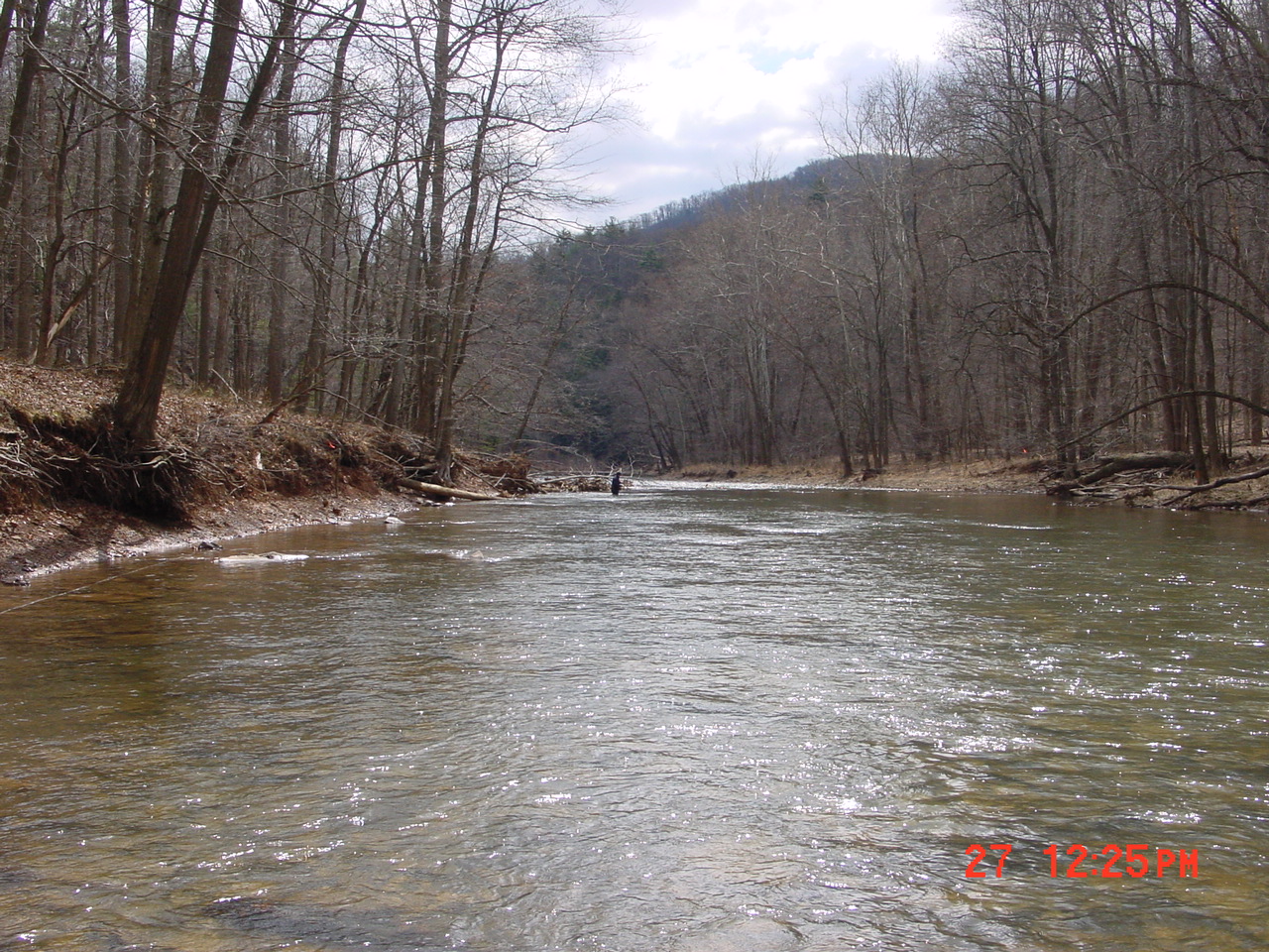 Field photo showing stream conditions at site SIDE-402-R-2001-1