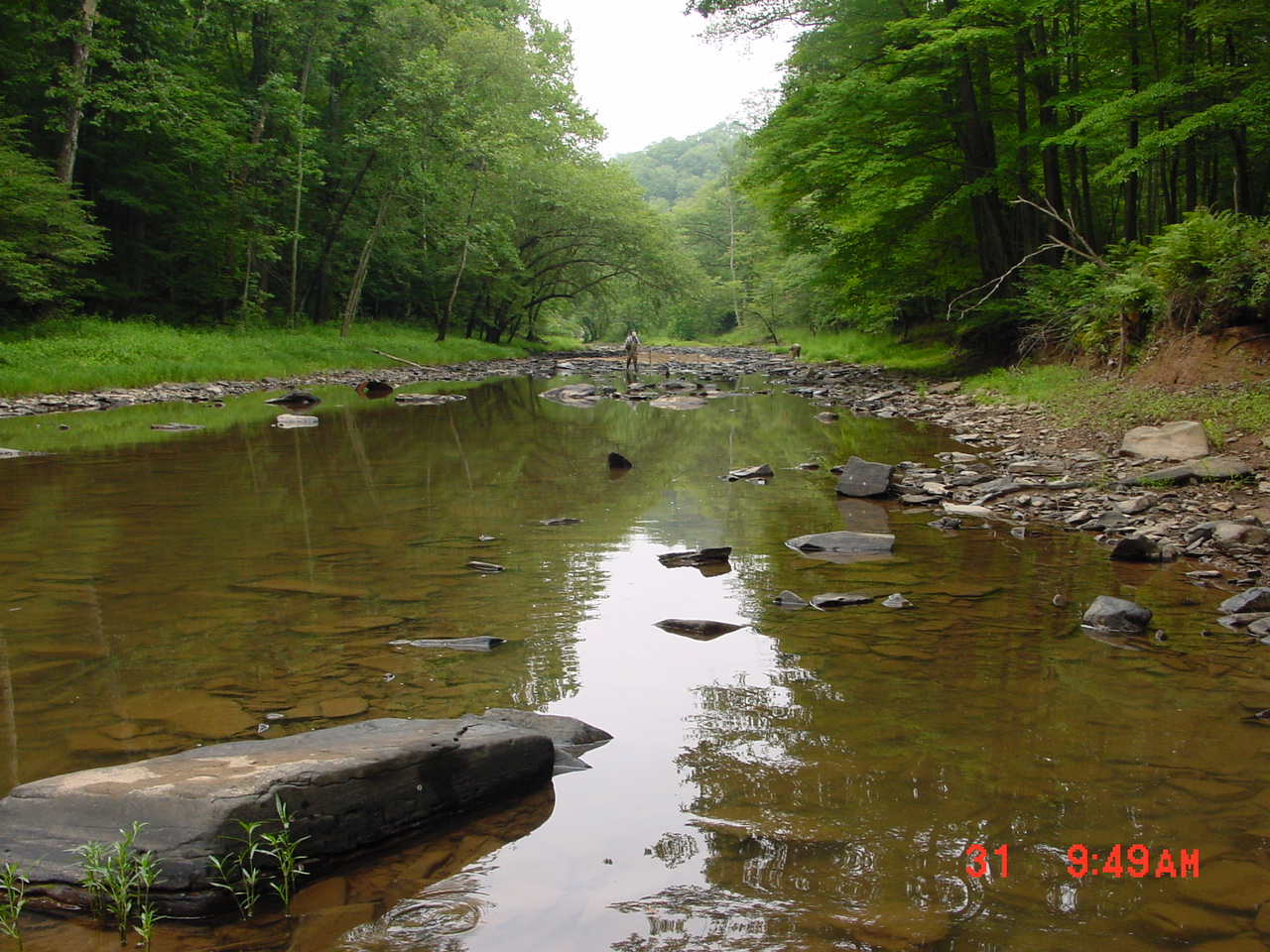 Field photo showing stream conditions at site SIDE-402-R-2001-3