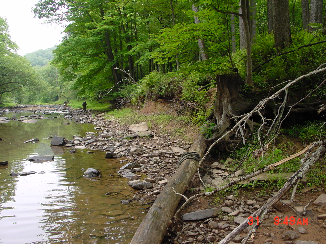Field photo showing stream conditions at site SIDE-402-R-2001-4