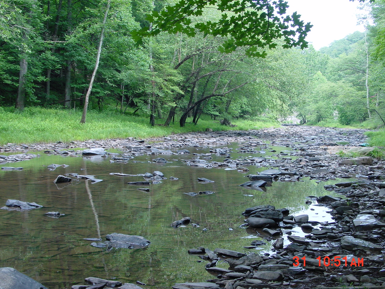 Field photo showing stream conditions at site SIDE-402-R-2001-5