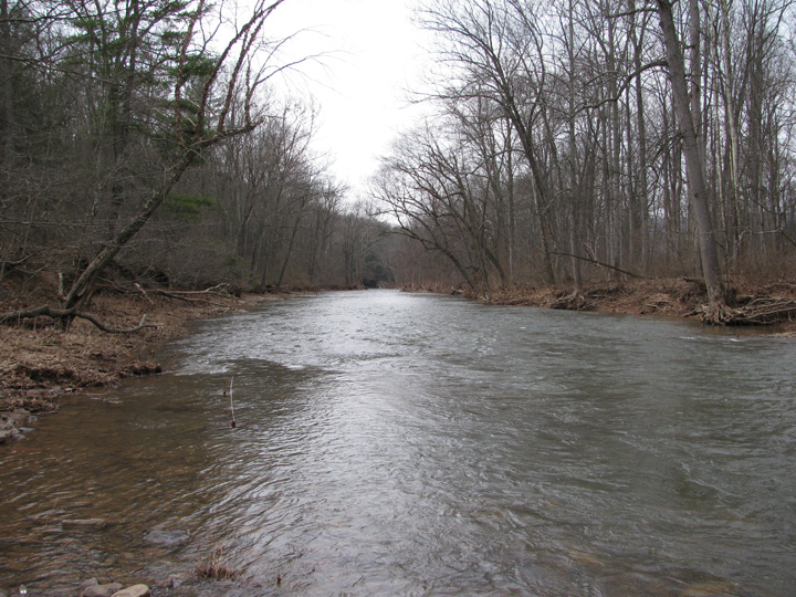Field photo showing stream conditions at site SIDE-405-H-2011-2