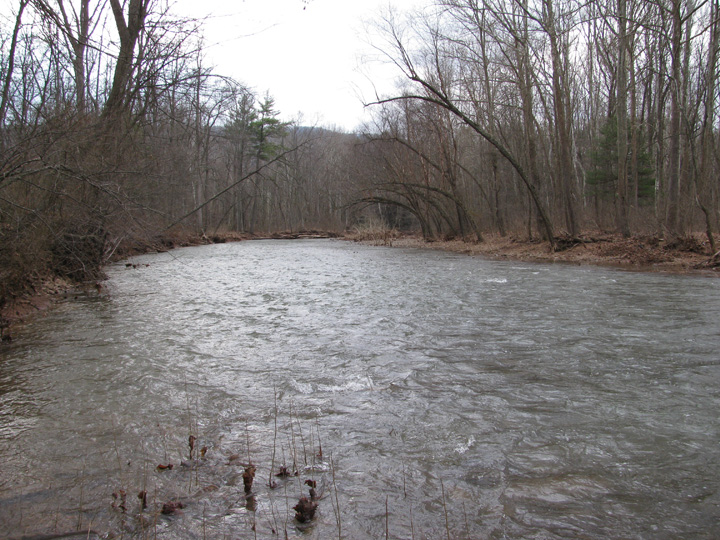Field photo showing stream conditions at site SIDE-406-H-2011-1