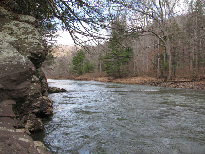 Field photo showing stream conditions at site SIDE-408-H-2011-1