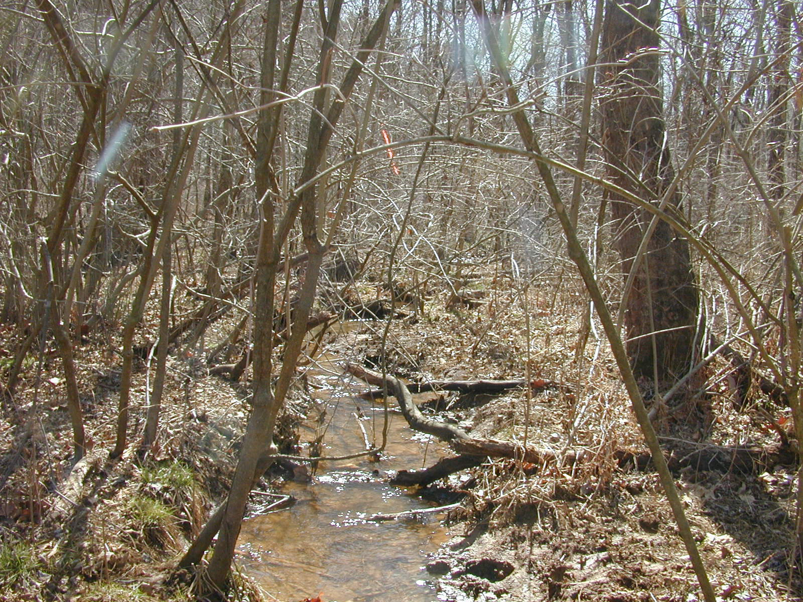 Field photo showing stream conditions at site SOUT-101-R-2002-2