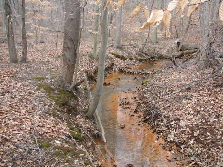 Field photo showing stream conditions at site SOUT-101-R-2008-1