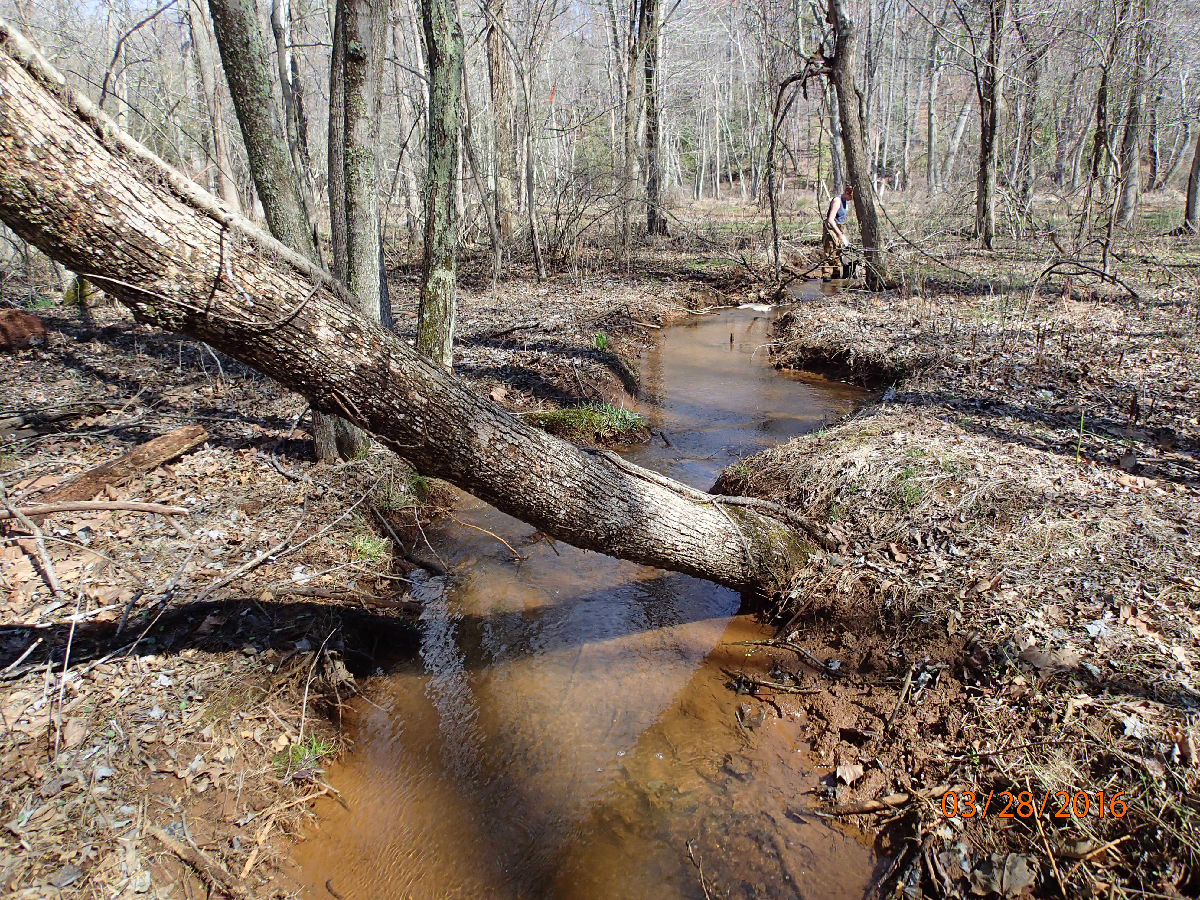 Field photo showing stream conditions at site SOUT-101-R-2016-MidpointDownstream