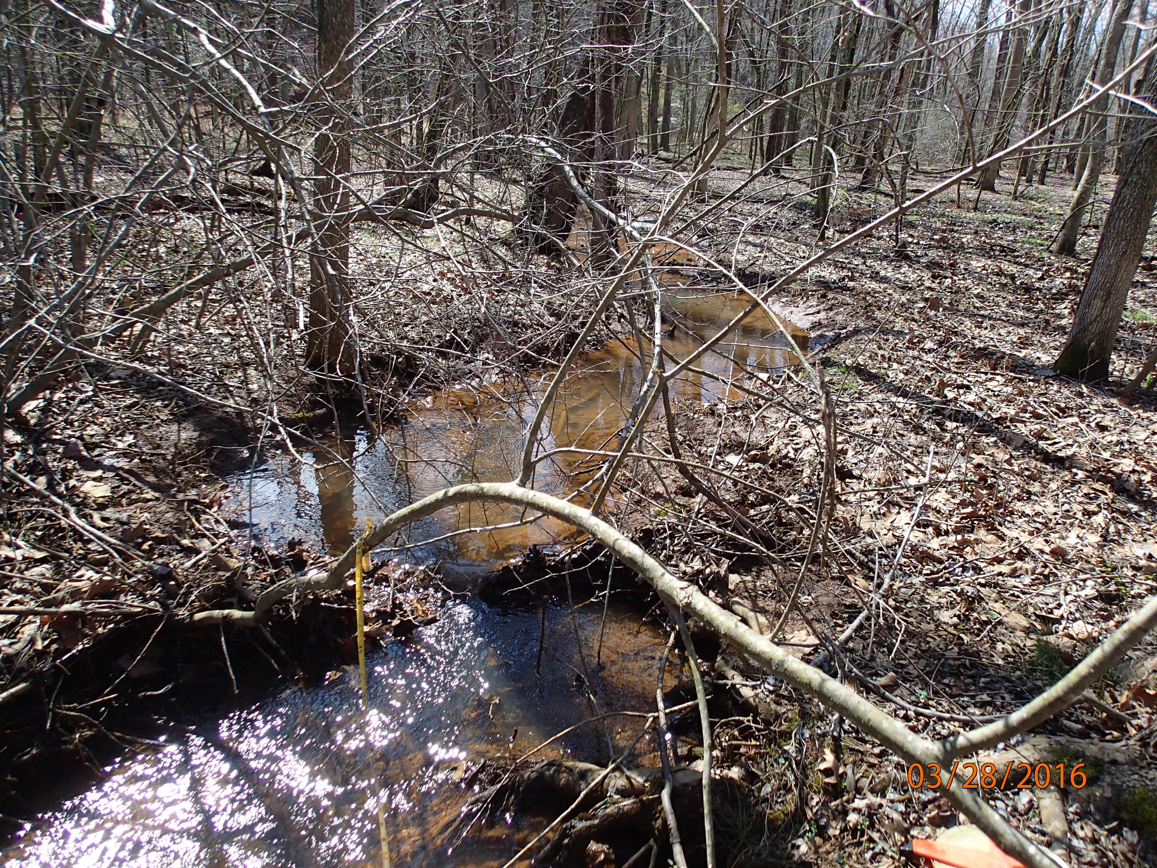 Field photo showing stream conditions at site SOUT-101-R-2016-MidpointUpstream