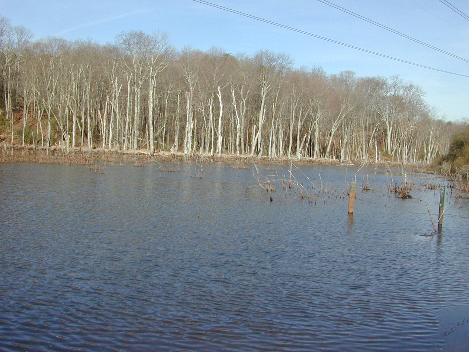 Field photo showing stream conditions at site SOUT-102-R-2002-2