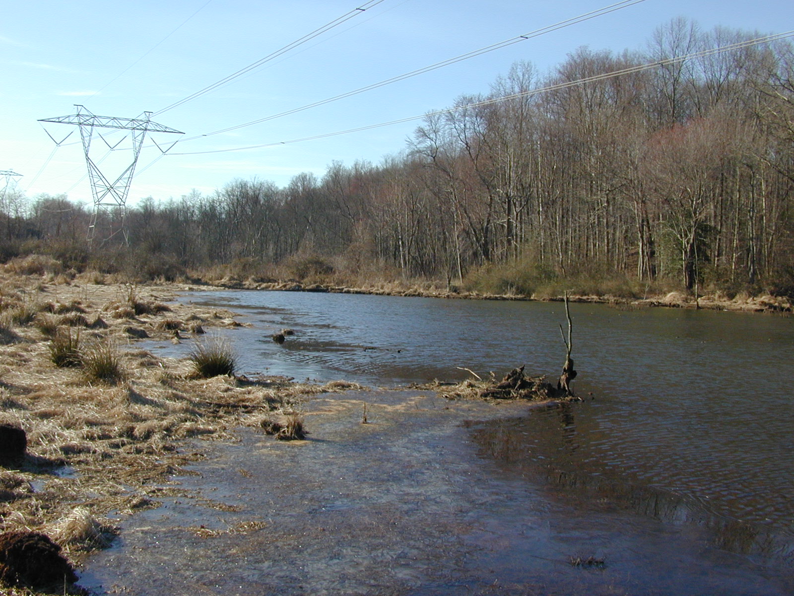 Field photo showing stream conditions at site SOUT-102-R-2002-3