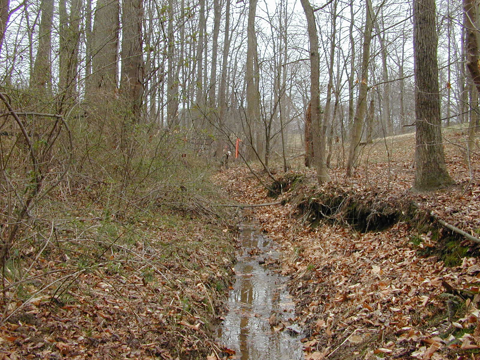 Field photo showing stream conditions at site SOUT-103-R-2002-1