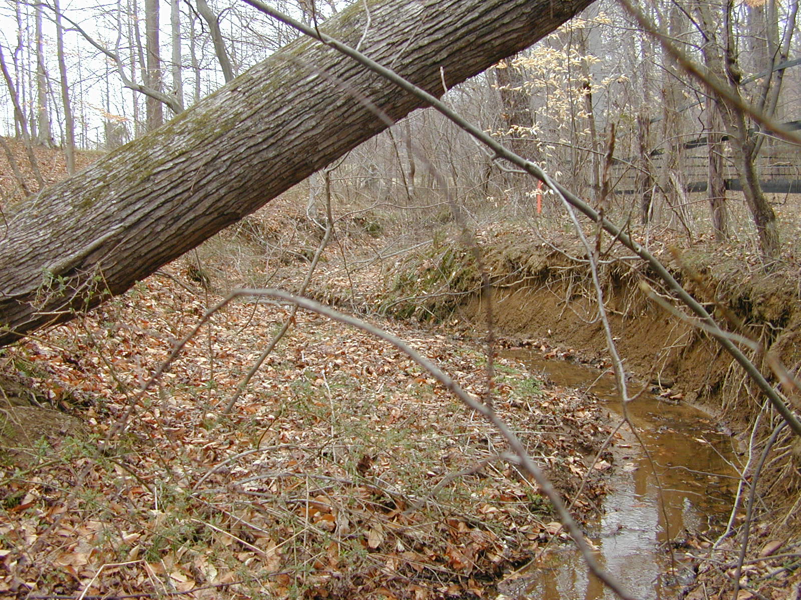 Field photo showing stream conditions at site SOUT-103-R-2002-2