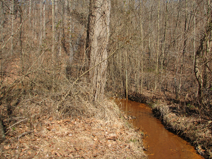 Field photo showing stream conditions at site SOUT-103-R-2008-1