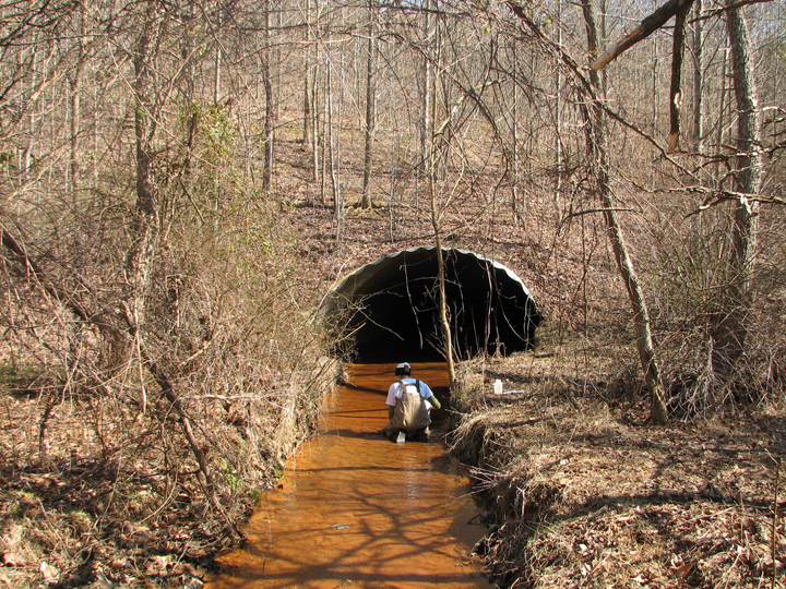 Field photo showing stream conditions at site SOUT-103-R-2008-2