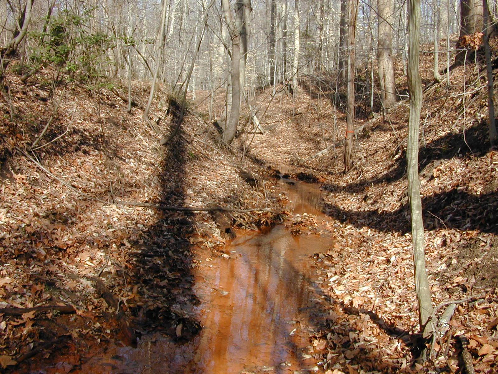 Field photo showing stream conditions at site SOUT-105-R-2002-1