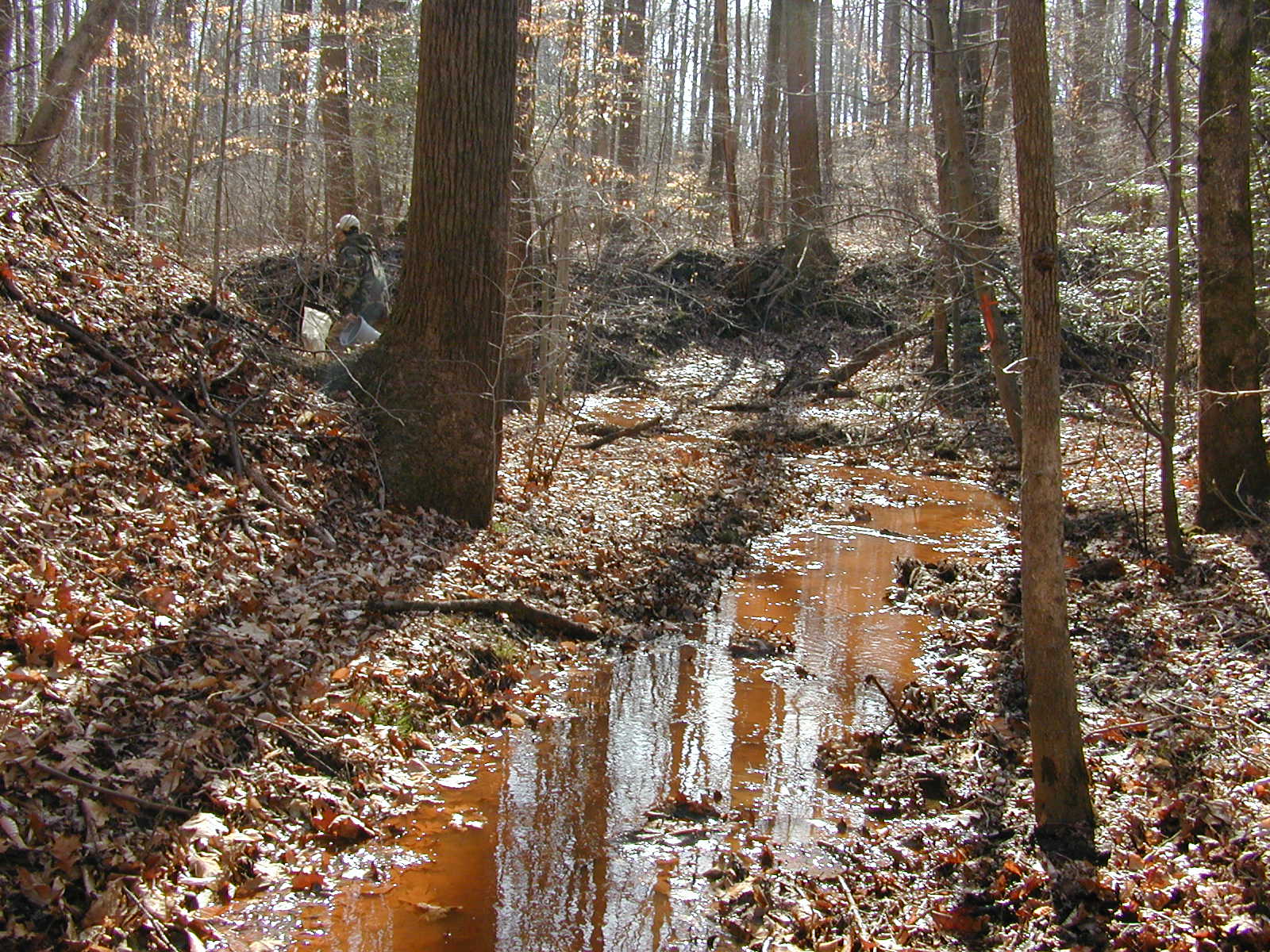 Field photo showing stream conditions at site SOUT-105-R-2002-2