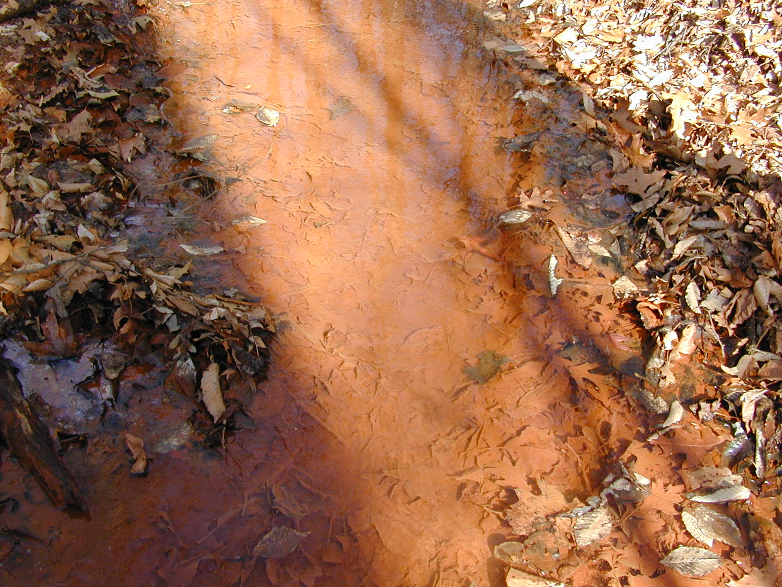 Field photo showing stream conditions at site SOUT-105-R-2002-3