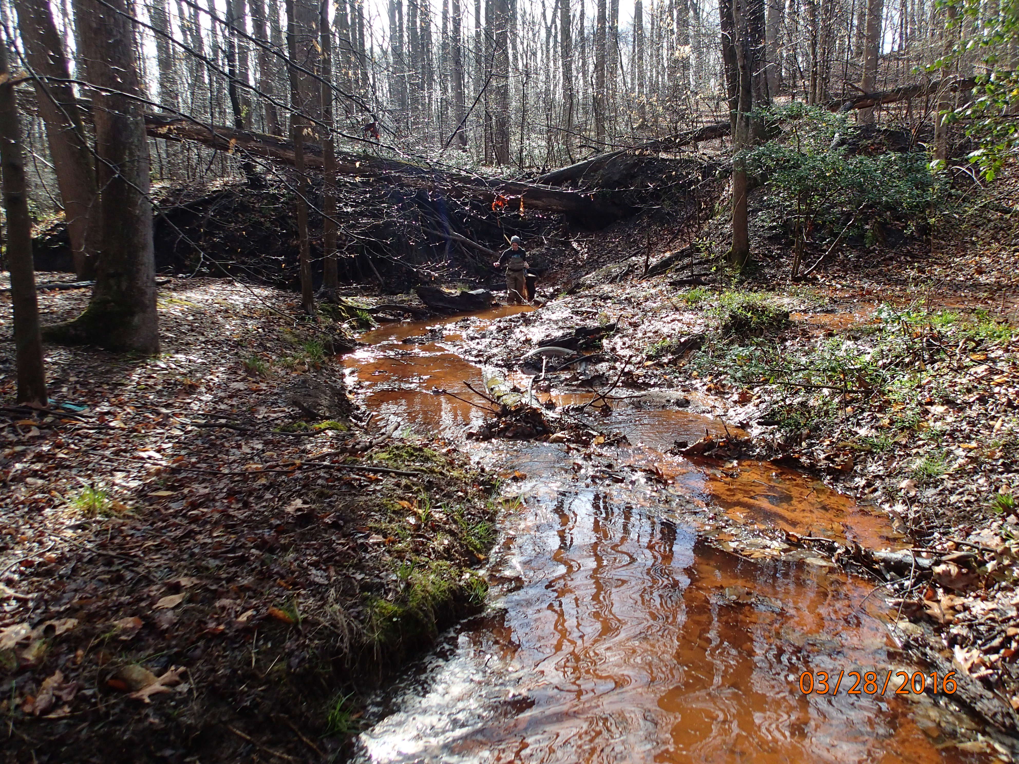 Field photo showing stream conditions at site SOUT-105-R-2016-MidpointDownstream
