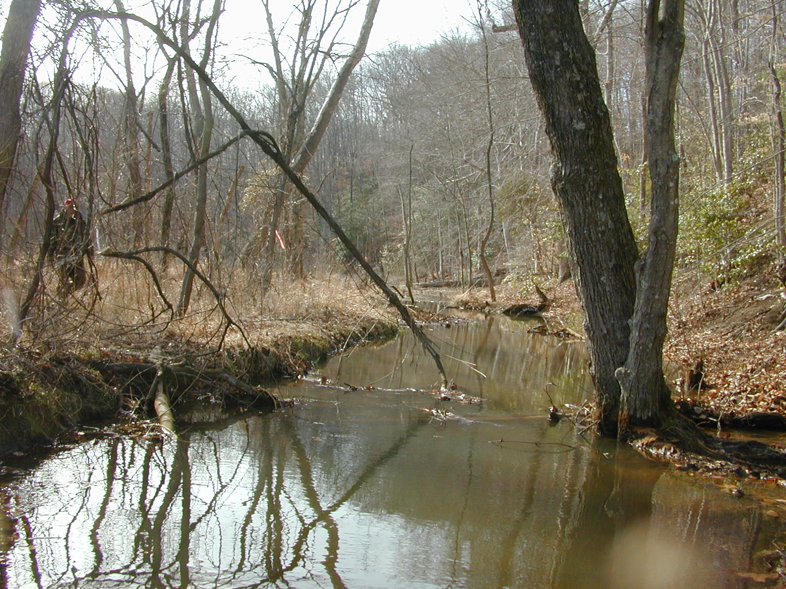 Field photo showing stream conditions at site SOUT-108-R-2002-1