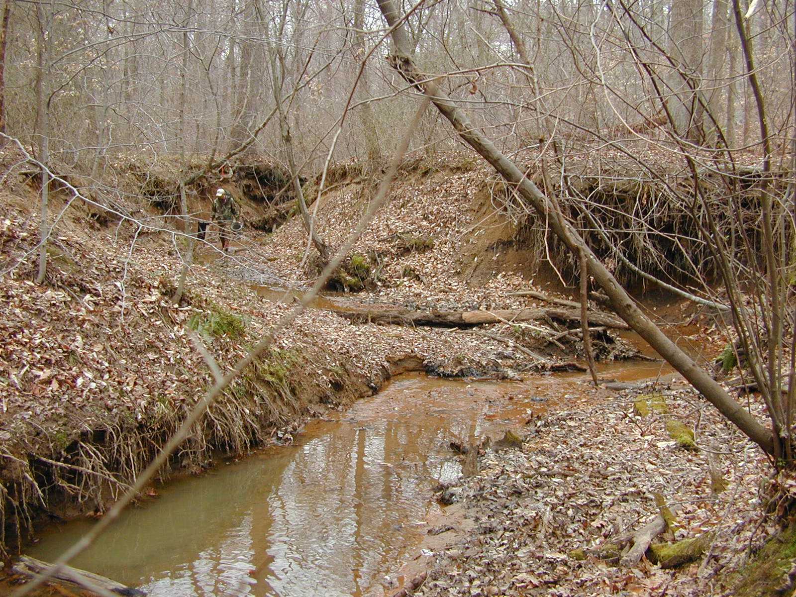 Field photo showing stream conditions at site SOUT-109-R-2002-1
