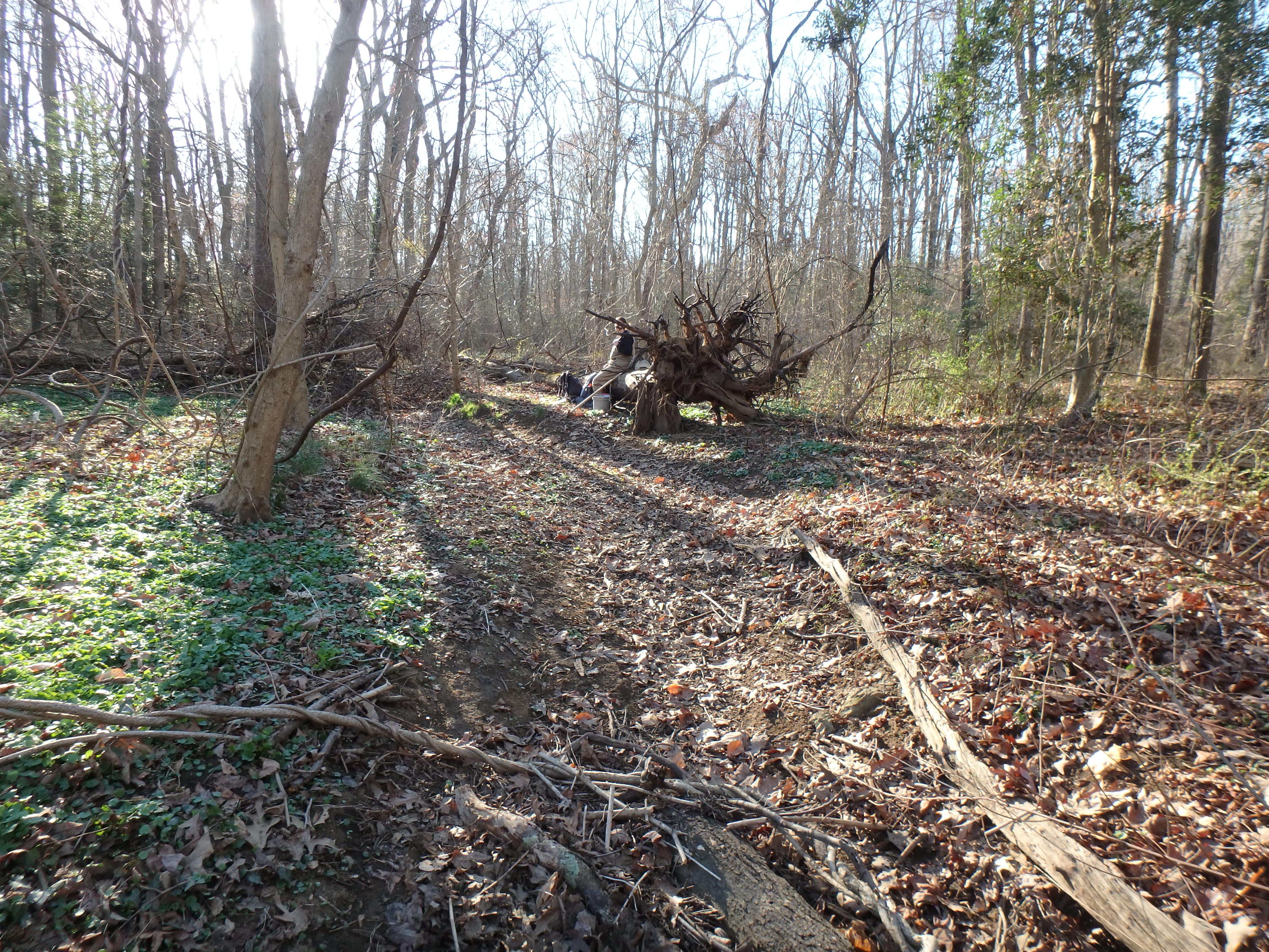 Field photo showing stream conditions at site SOUT-109-R-2017-10MFromMidpointLookingDownstream