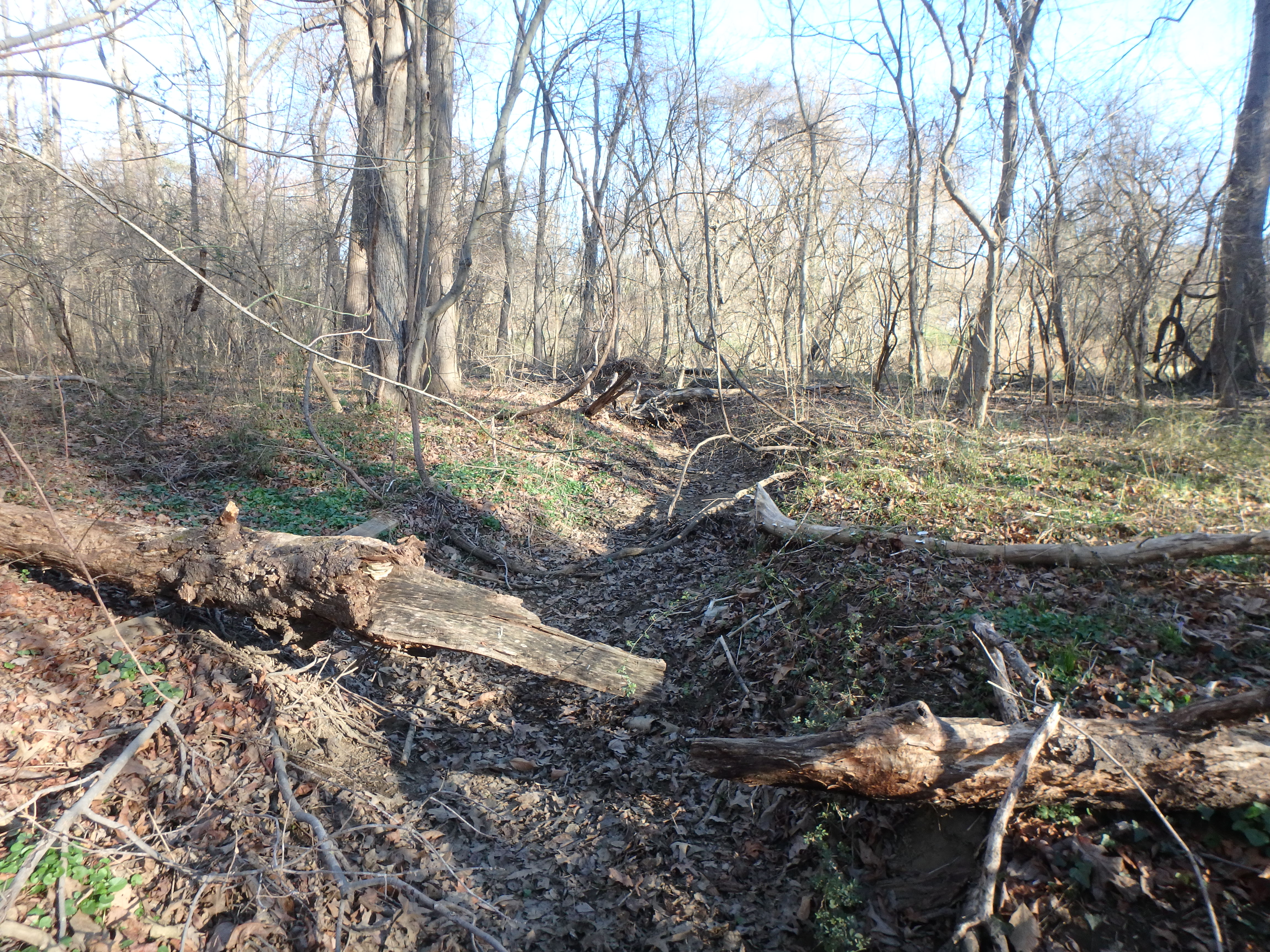 Field photo showing stream conditions at site SOUT-109-R-2017-10MFromMidpointLookingUpstream