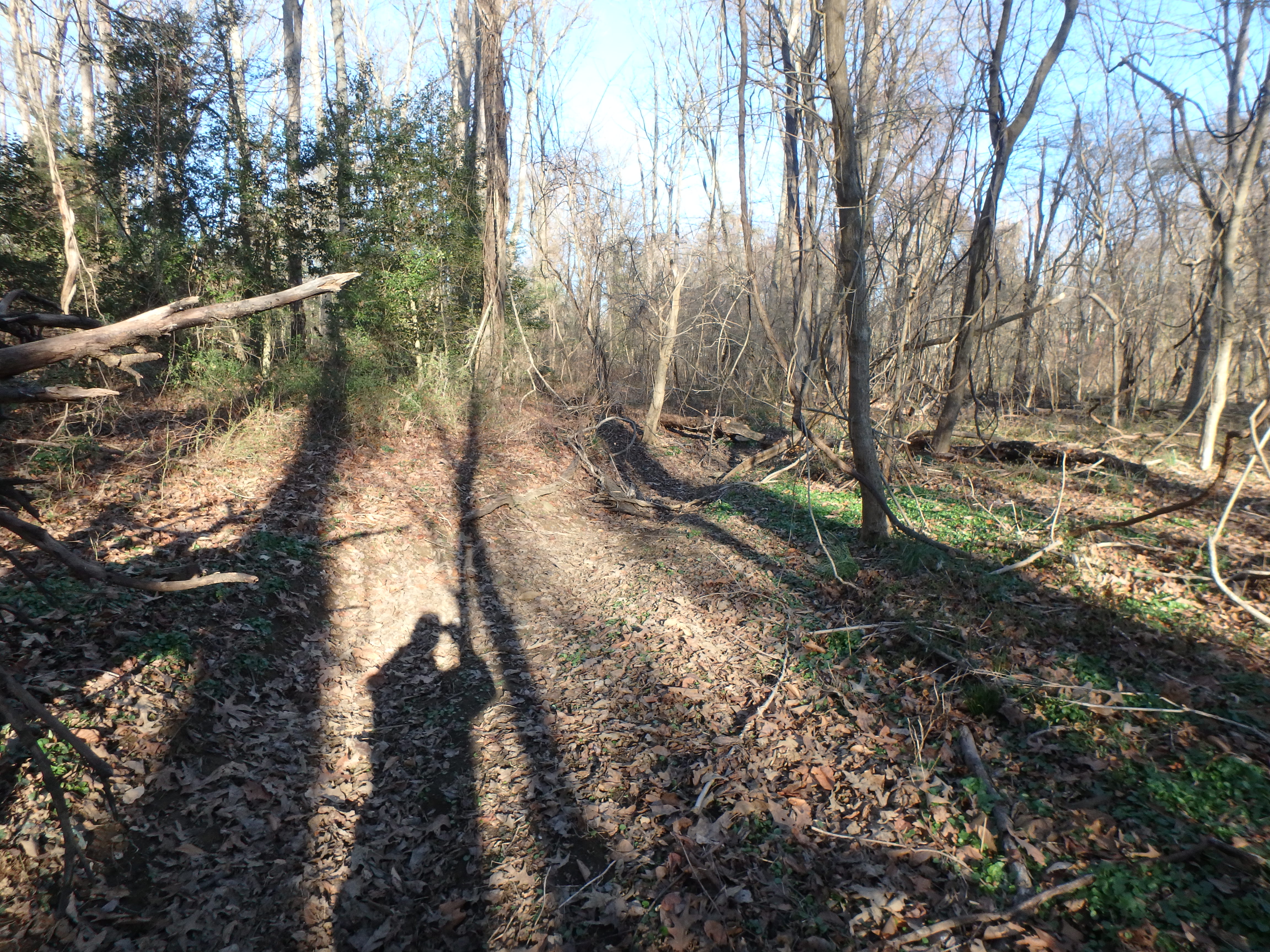 Field photo showing stream conditions at site SOUT-109-R-2017-MidpointLookingUpstream