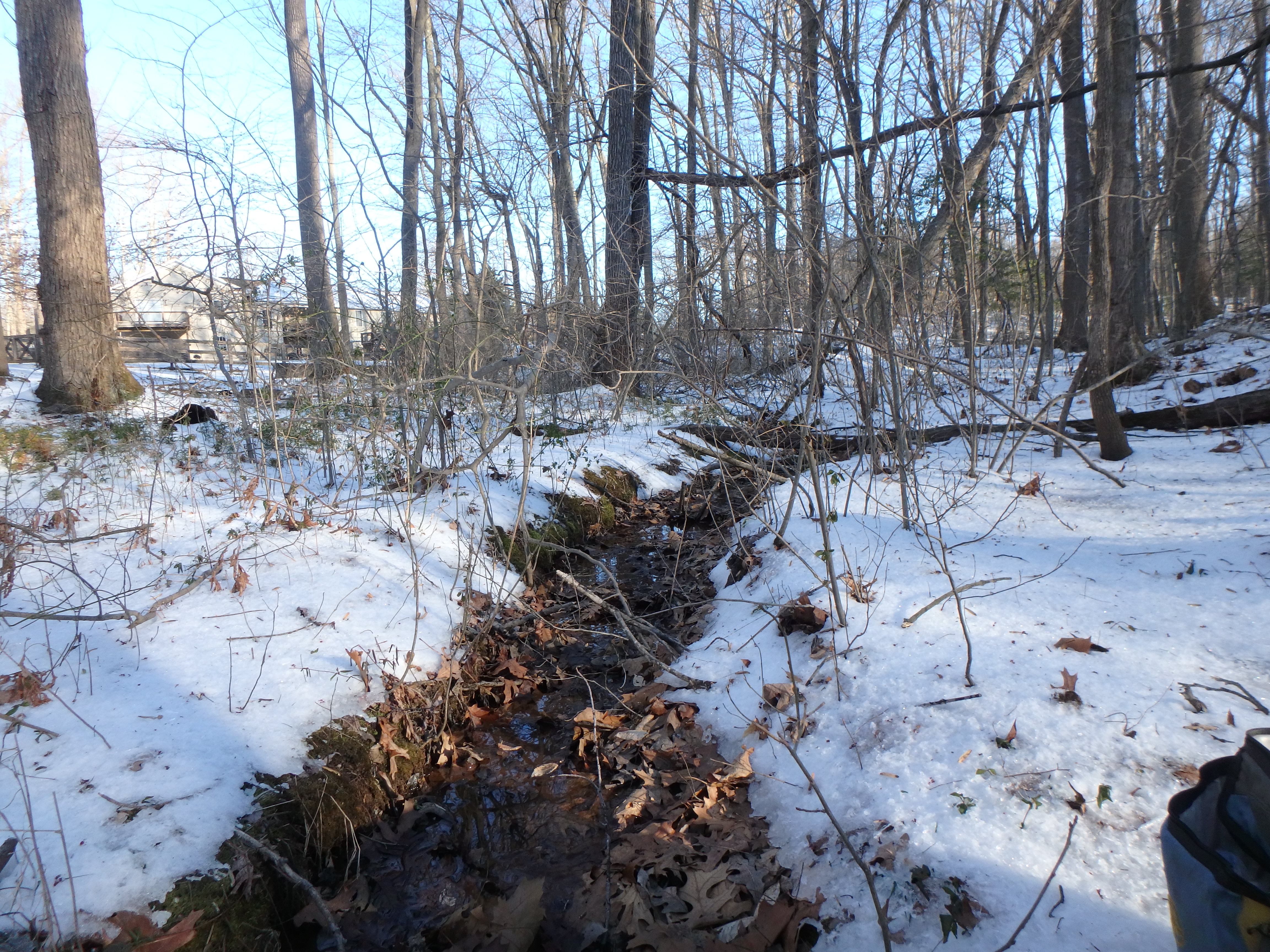 Field photo showing stream conditions at site SOUT-122-R-2017-MidpointLookingUpstream
