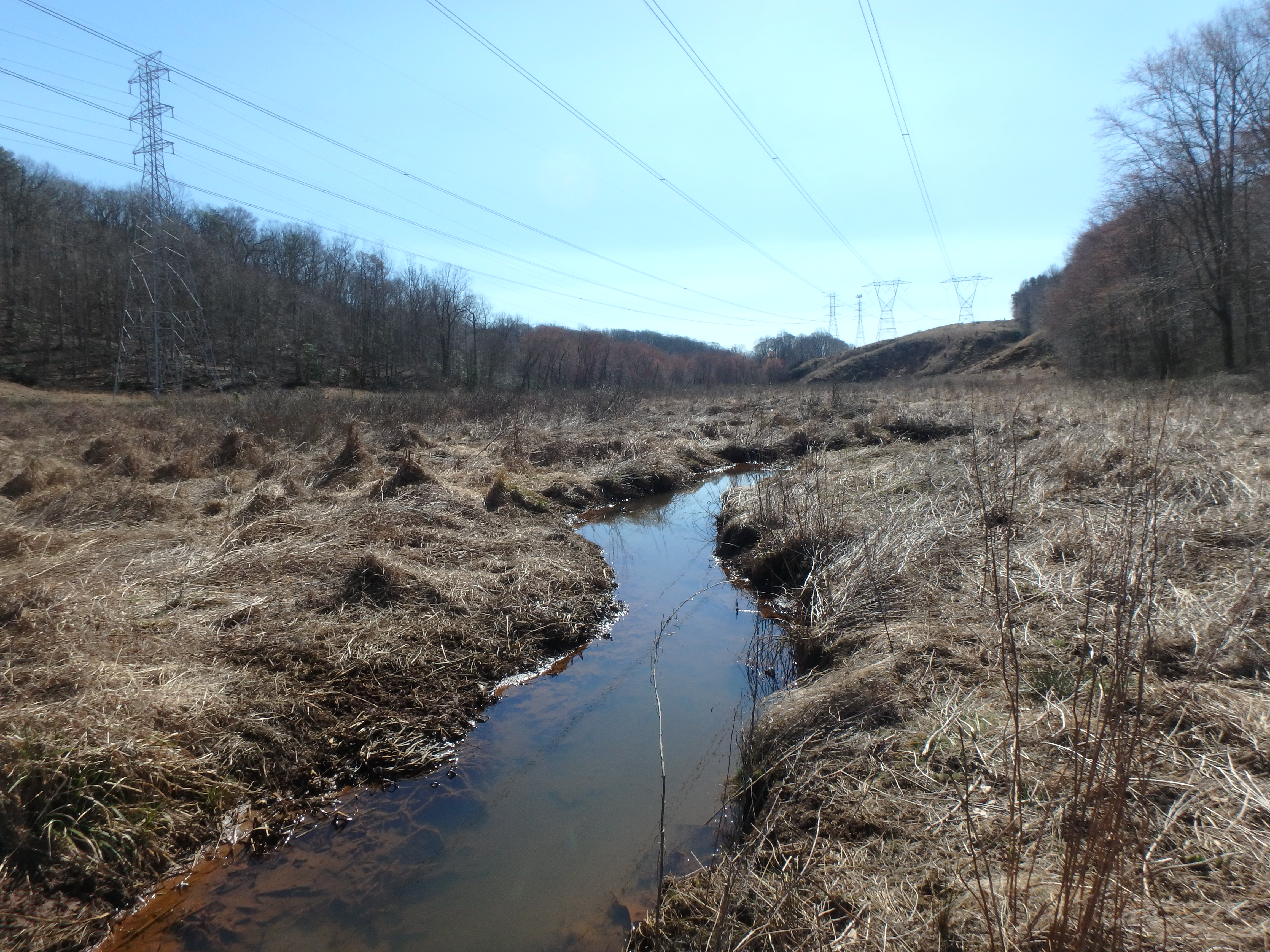 Field photo showing stream conditions at site SOUT-217-R-2017-MidpointLookingDownstream