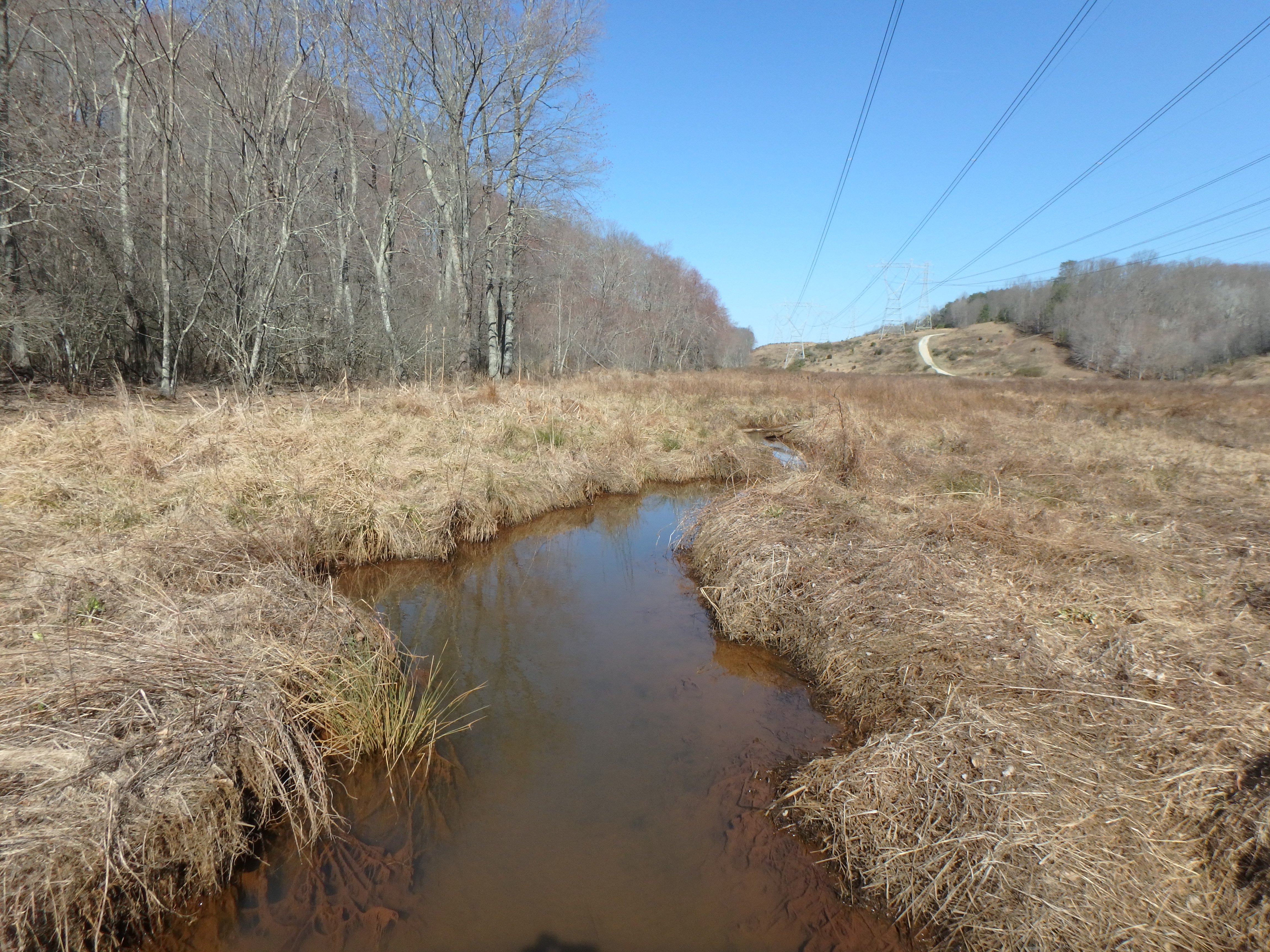 Field photo showing stream conditions at site SOUT-217-R-2017-MidpointLookingUpstream