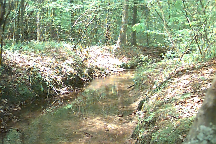 Field photo showing stream conditions at site STCL-051-S-2000-01