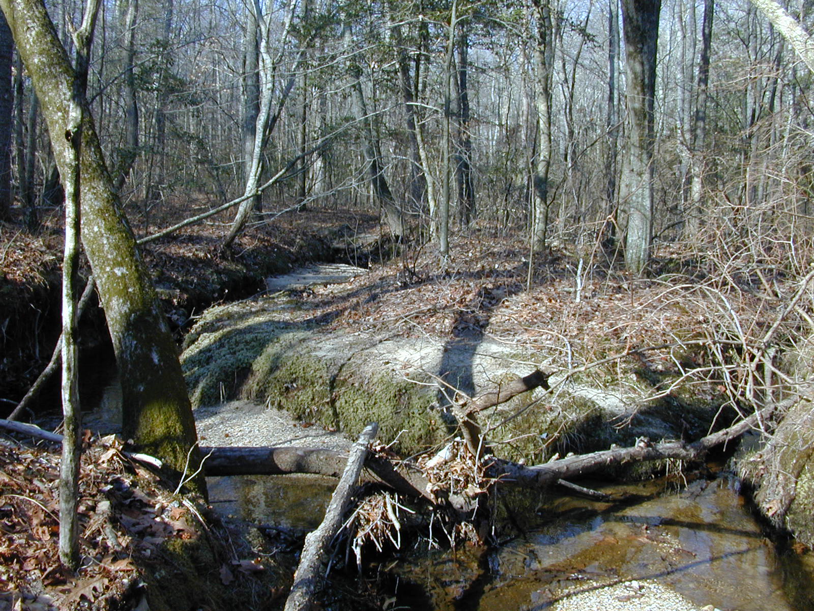 Field photo showing stream conditions at site STCL-051-S-2001-1