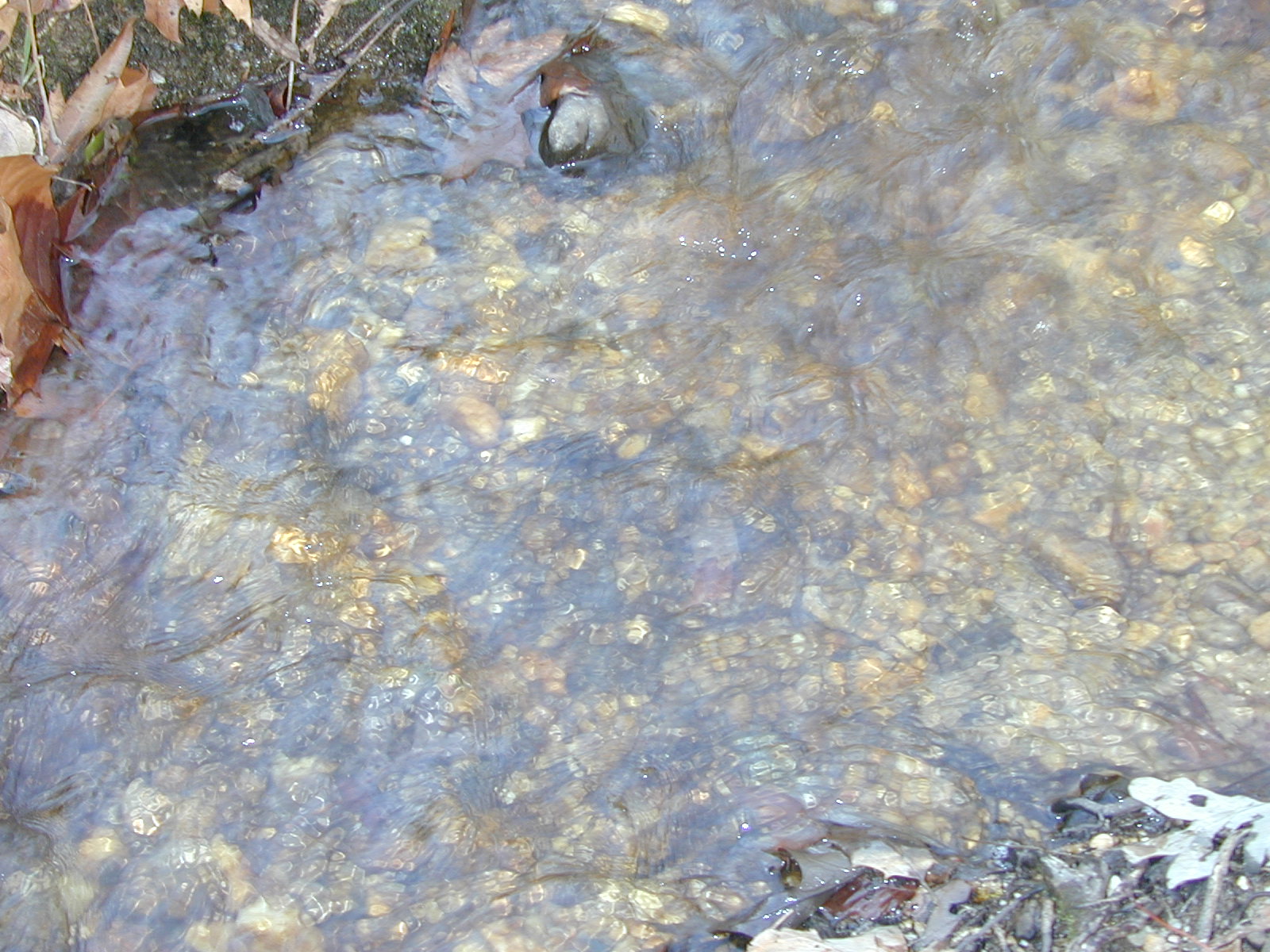 Field photo showing stream conditions at site STCL-051-S-2001-3