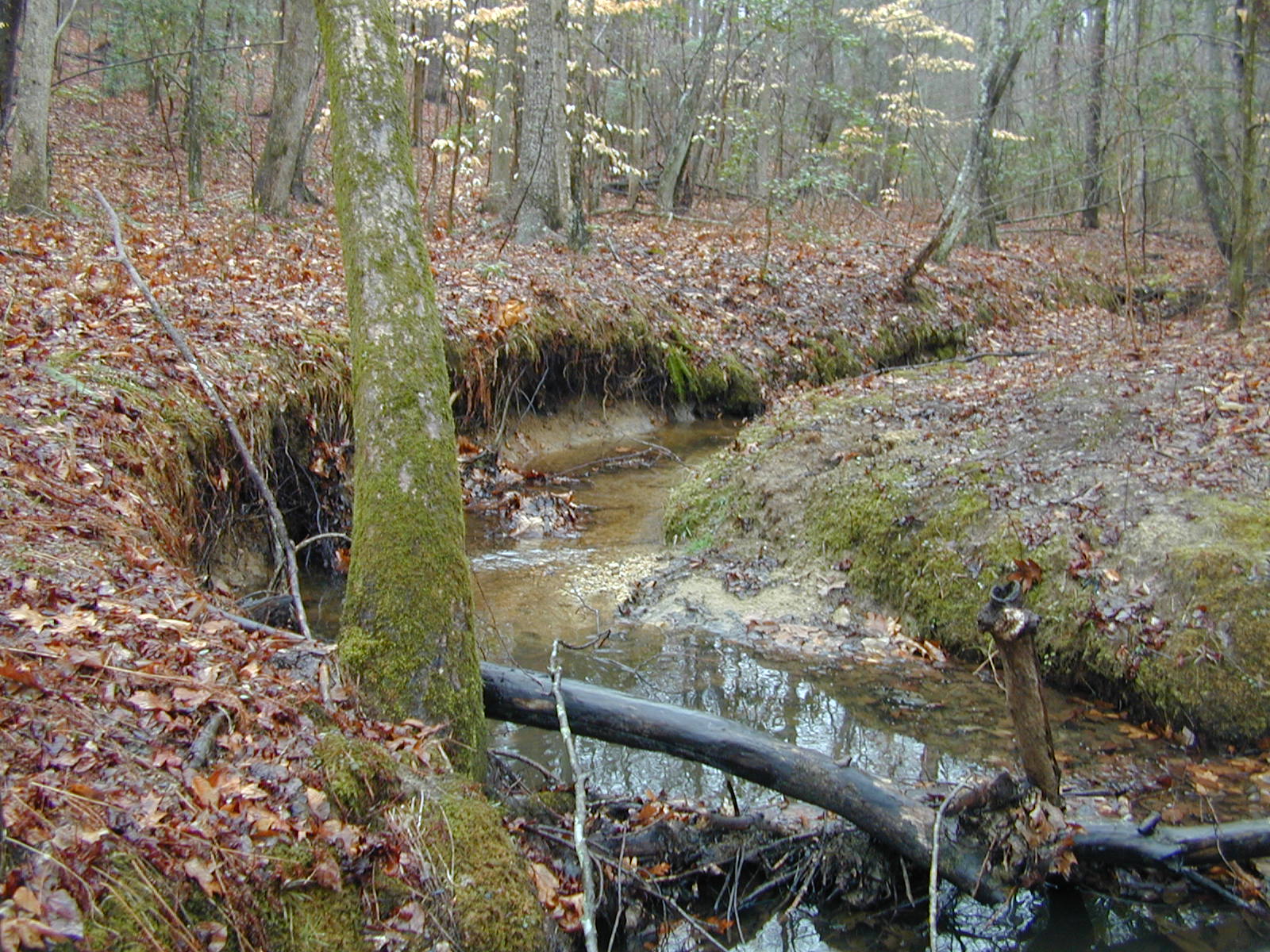 Field photo showing stream conditions at site STCL-051-S-2002-399