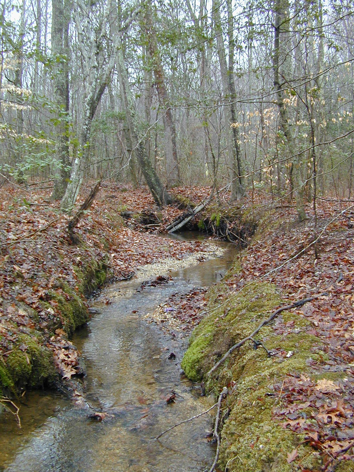 Field photo showing stream conditions at site STCL-051-S-2002-400