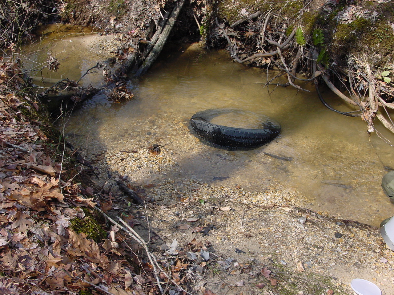 Field photo showing stream conditions at site STCL-051-S-2003-2