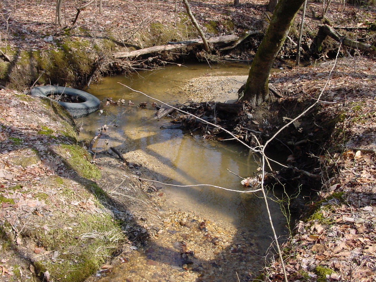 Field photo showing stream conditions at site STCL-051-S-2003-3