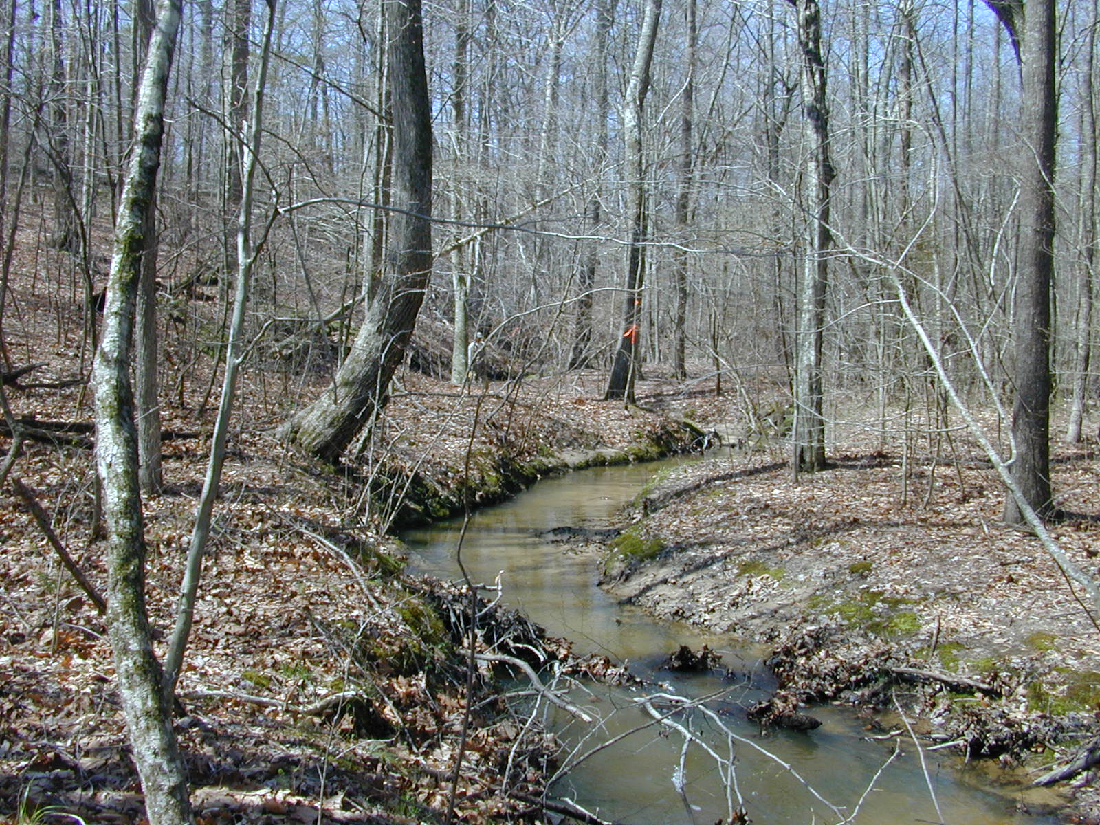 Field photo showing stream conditions at site STCL-051-S-2004-1