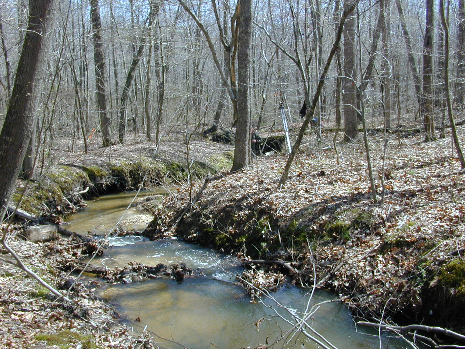 Field photo showing stream conditions at site STCL-051-S-2004-2