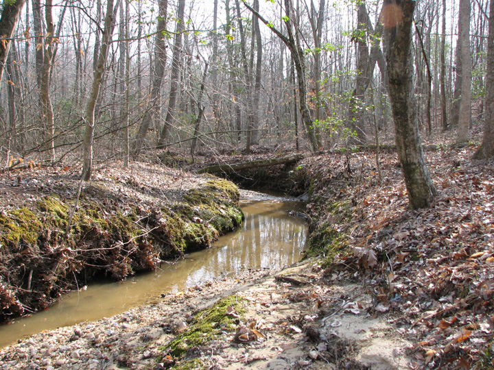 Field photo showing stream conditions at site STCL-051-S-2007-1