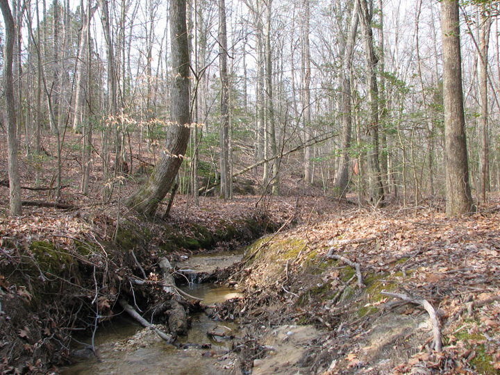 Field photo showing stream conditions at site STCL-051-S-2007-2