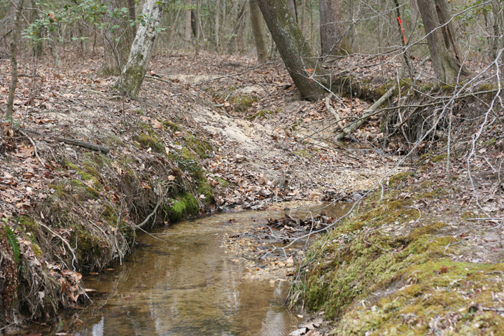 Field photo showing stream conditions at site STCL-051-S-2009-2