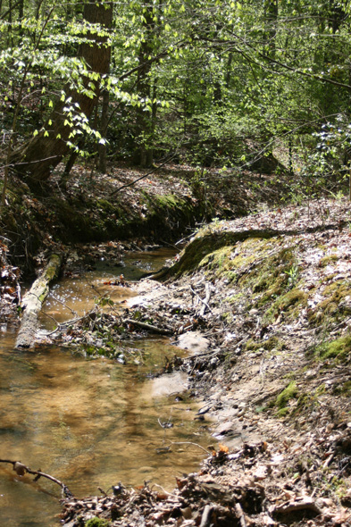 Field photo showing stream conditions at site STCL-051-S-2010-1
