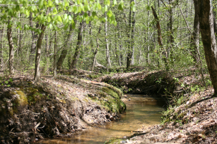 Field photo showing stream conditions at site STCL-051-S-2010-2
