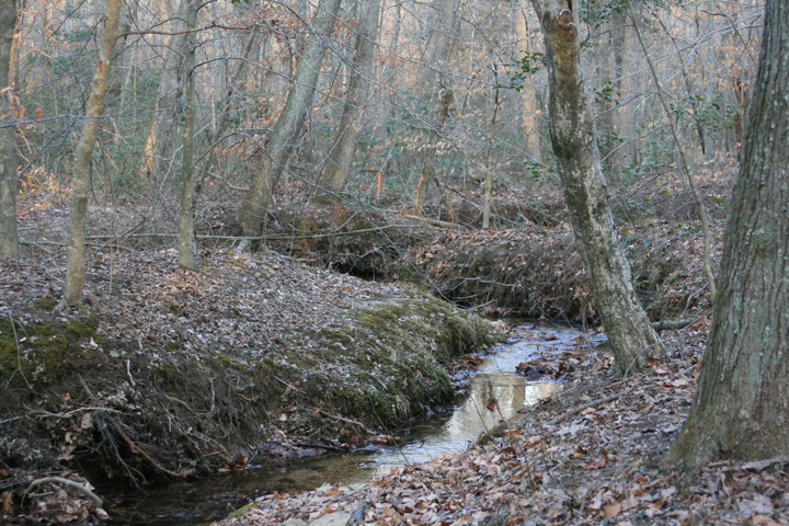 Field photo showing stream conditions at site STCL-051-S-2011-2