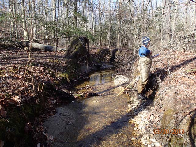 Field photo showing stream conditions at site STCL-051-S-2013-MidpointPupstream