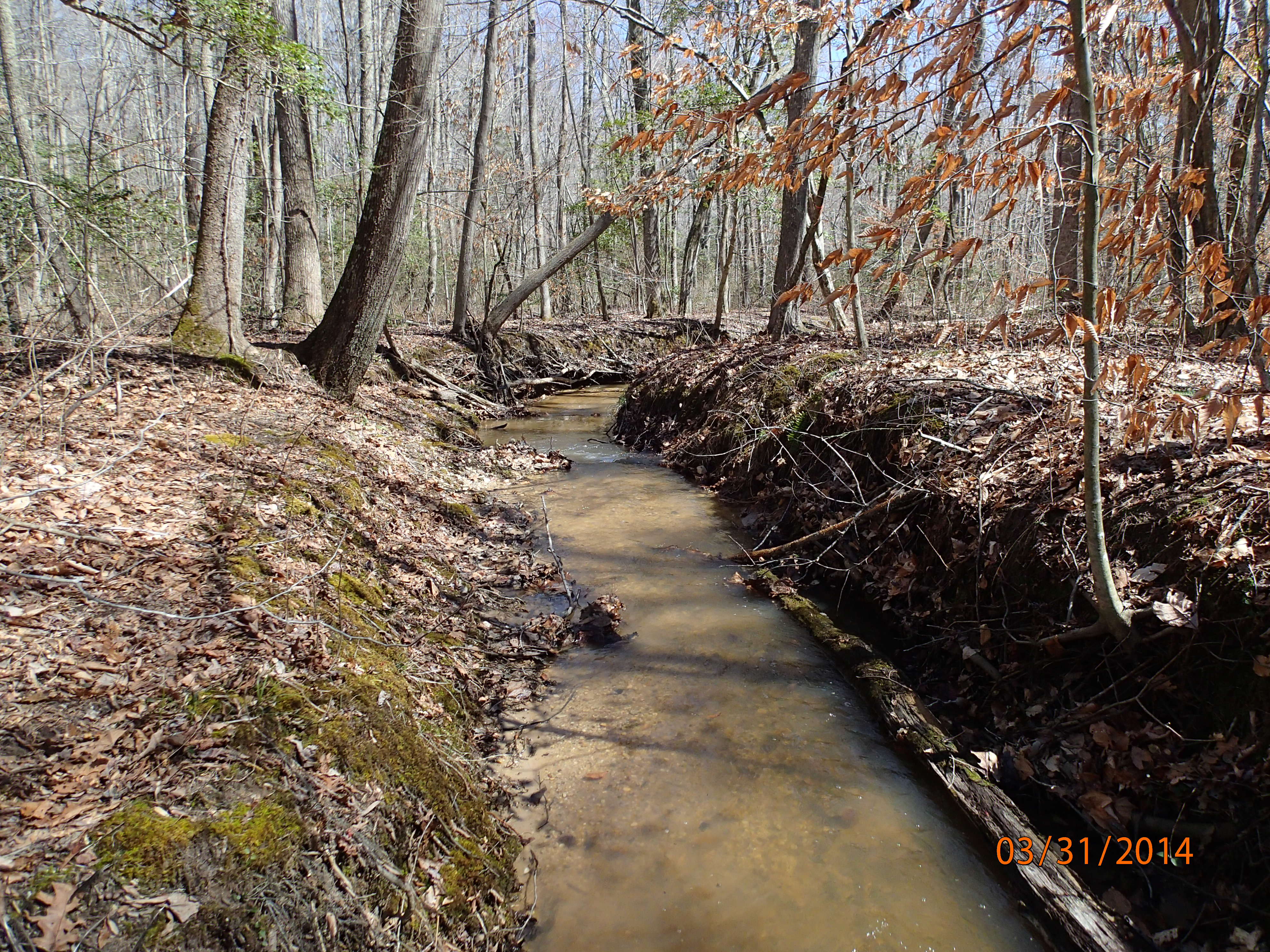Field photo showing stream conditions at site STCL-051-S-2014-MidpointDownstream