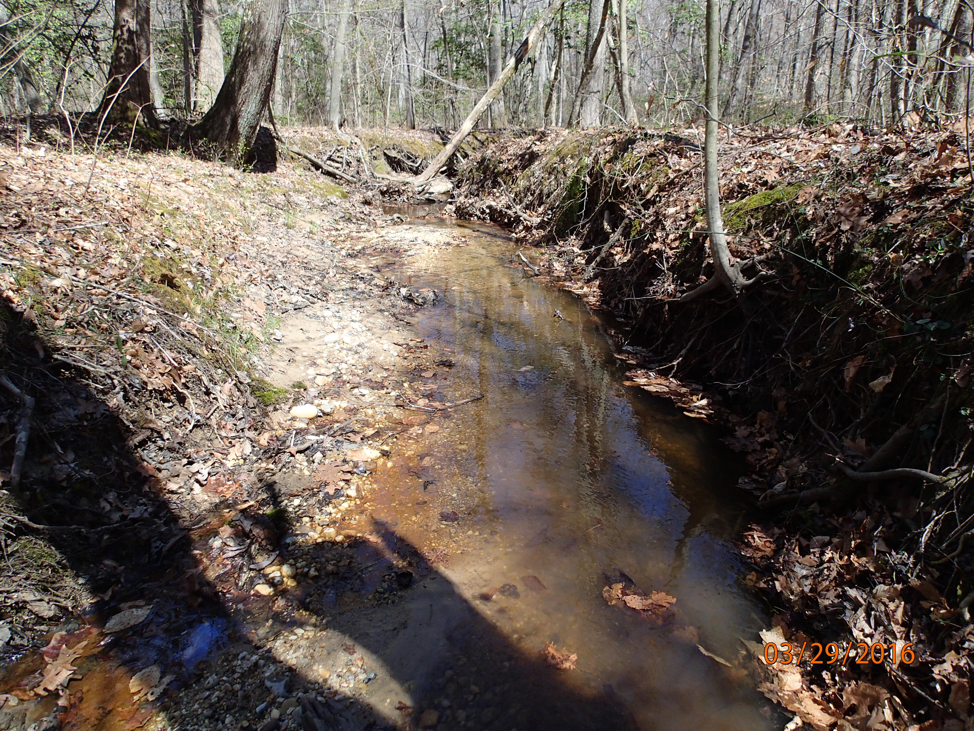 Field photo showing stream conditions at site STCL-051-S-2016-MidpointPDownstream