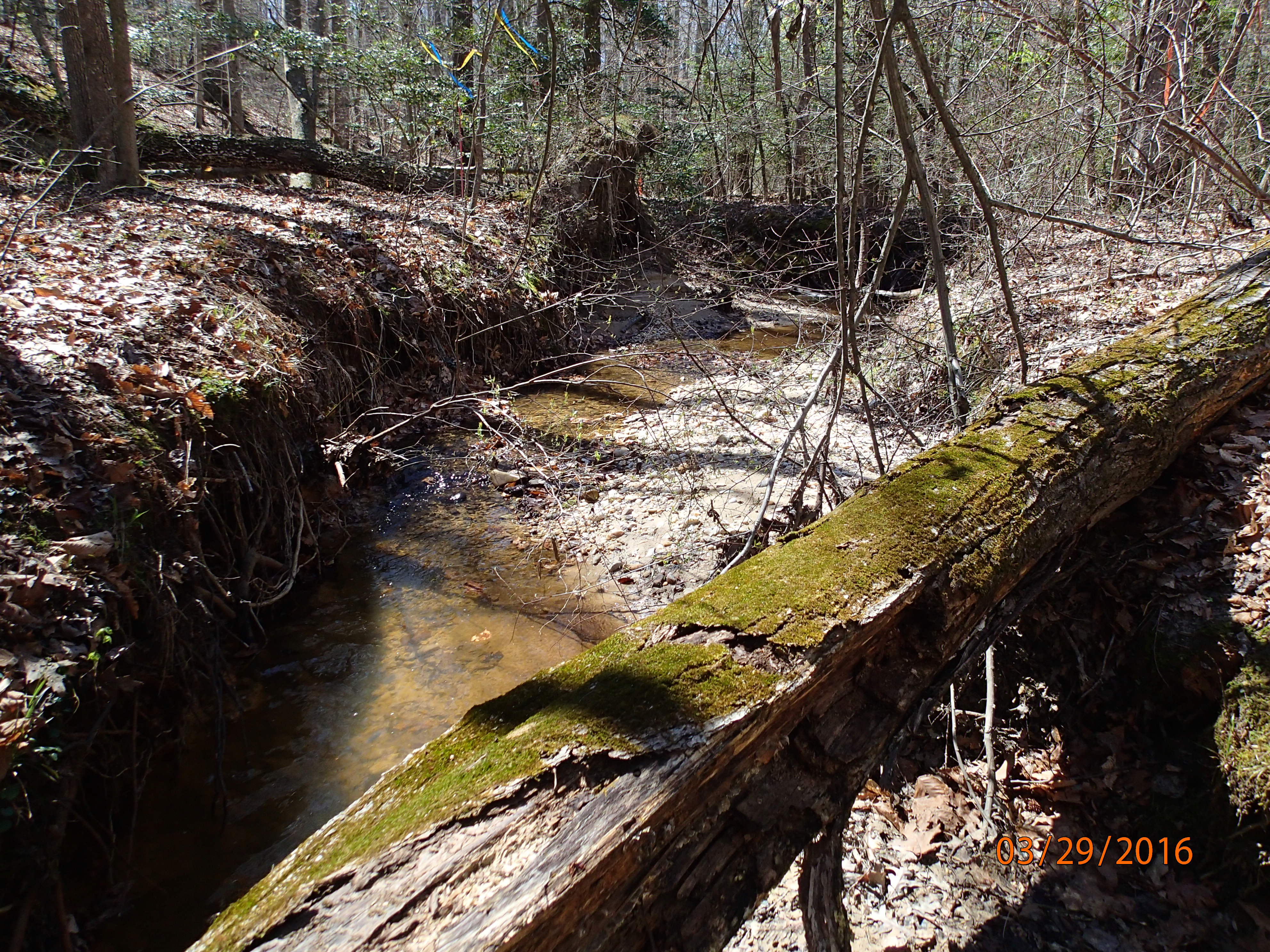 Field photo showing stream conditions at site STCL-051-S-2016-MidpointPUpstream